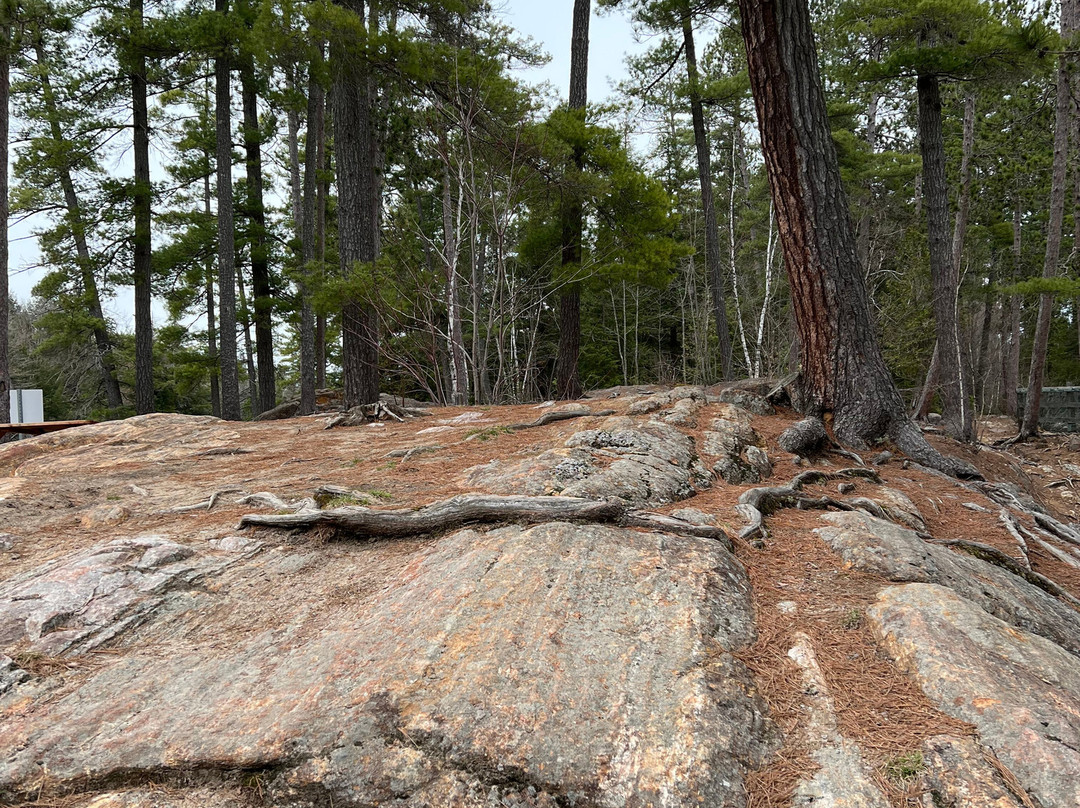 Dorwin Falls Park-Rawdon必去景点