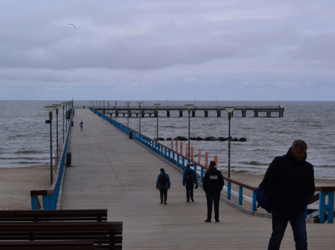 Bridge of Palanga-帕兰加必去景点