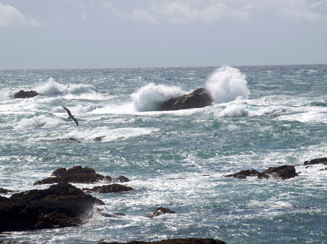 Jug Handle State Natural Preserve-卡斯帕必去景点