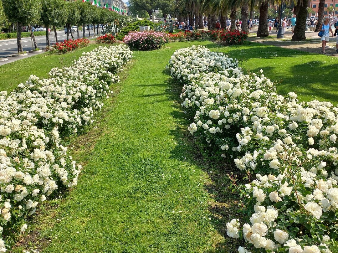 Passeggiata Costantino Morin景点图片