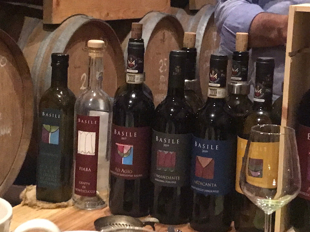 Basile - Cantina Biologica Dal 1999景点图片