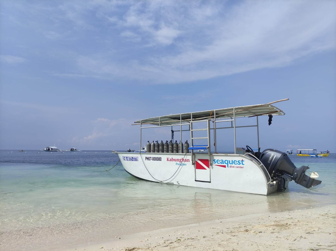 Seaquest潜水中心景点图片