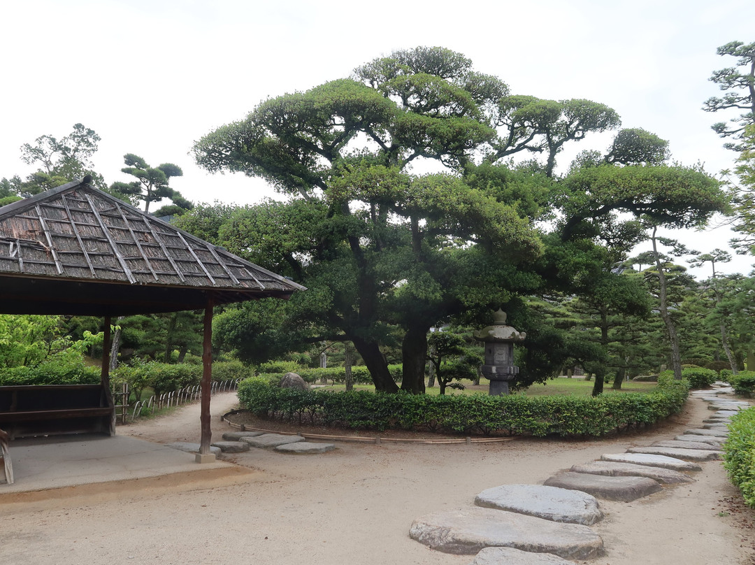 玉藻公园景点图片