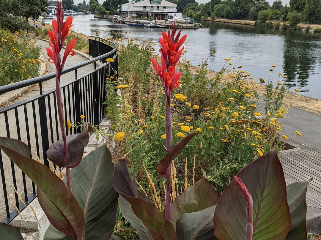 Riverside Walk-泰晤士河畔金斯敦必去景点