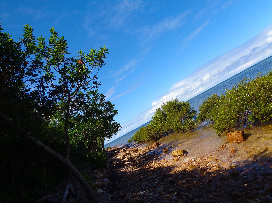Promenade Pierre-Vernier-努美阿必去景点