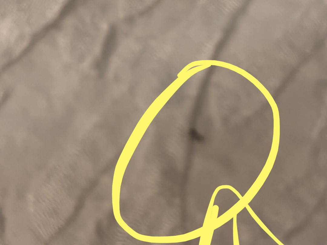 Hilton Garden Inn Providence Airport/Warwick主图