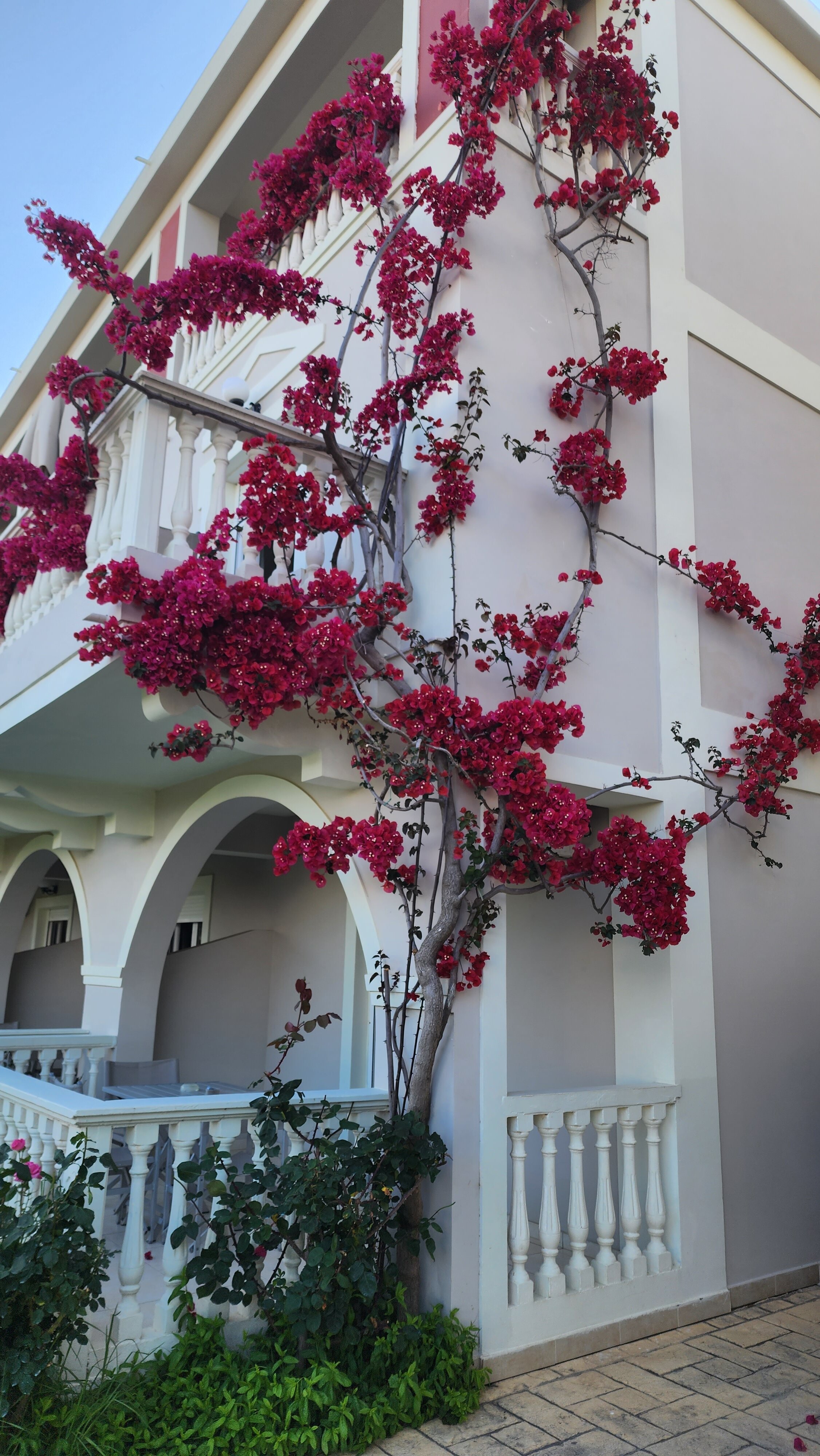 Belussi Beach Hotel & Suites-浴室