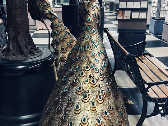 The Shell Factory-迈尔斯堡必去景点