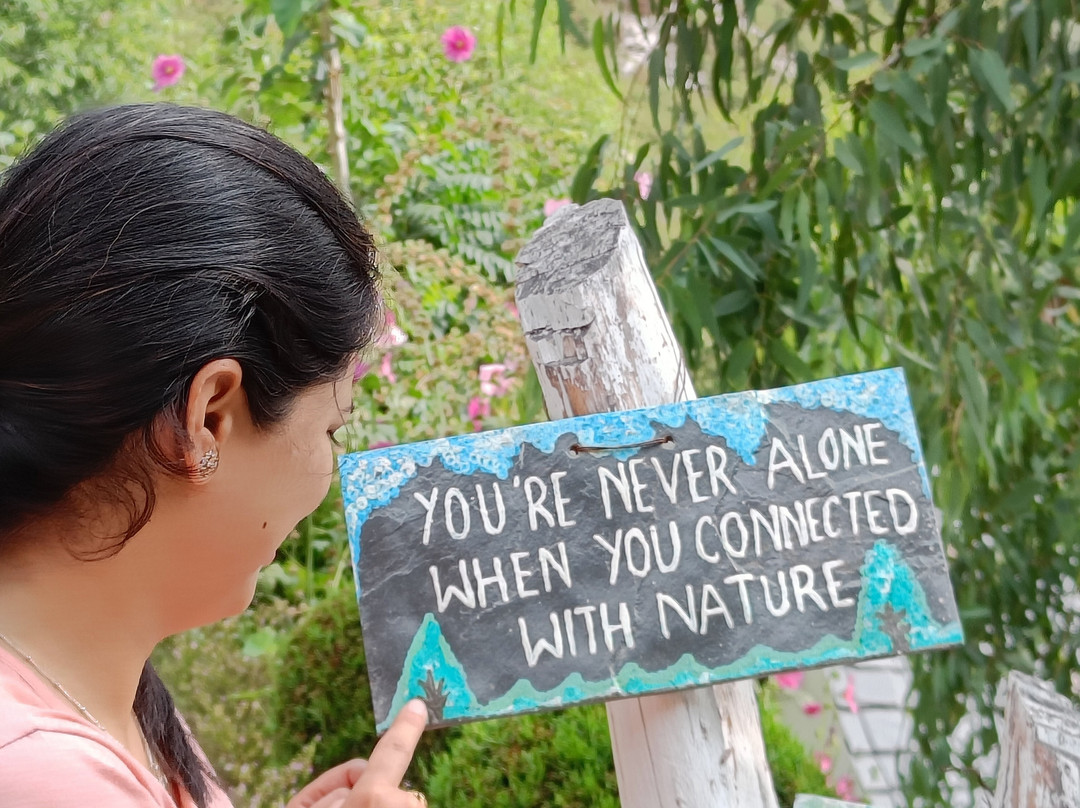 Vedic Vibes Resort主图