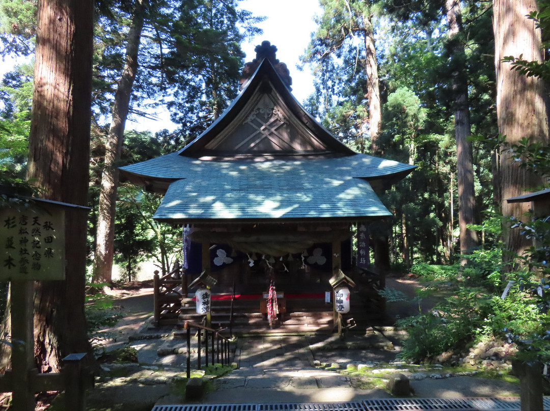 Karamatsu Shrine-大仙市必去景点