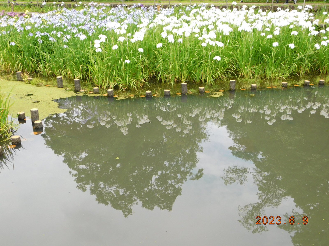 Yamadaike Park-枚方市必去景点