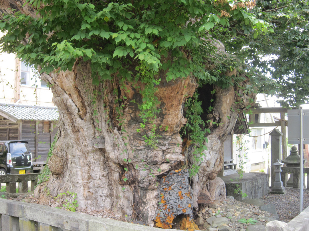 Yahiko no Takokeyaki景点图片