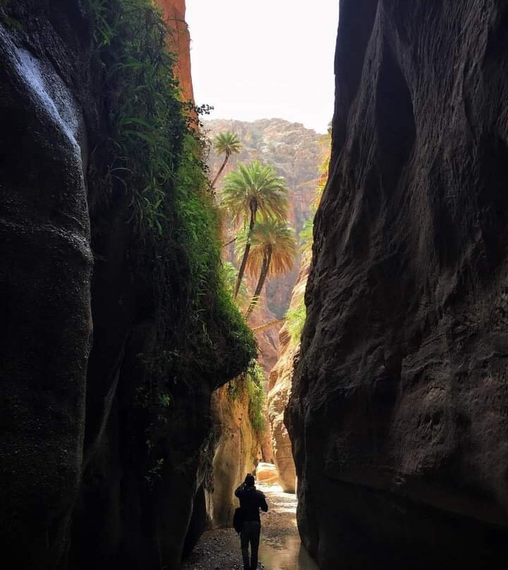 Jo Tours-安曼必去景点