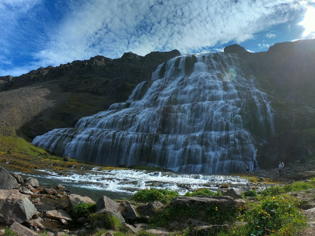 Westfjords Adventures景点图片
