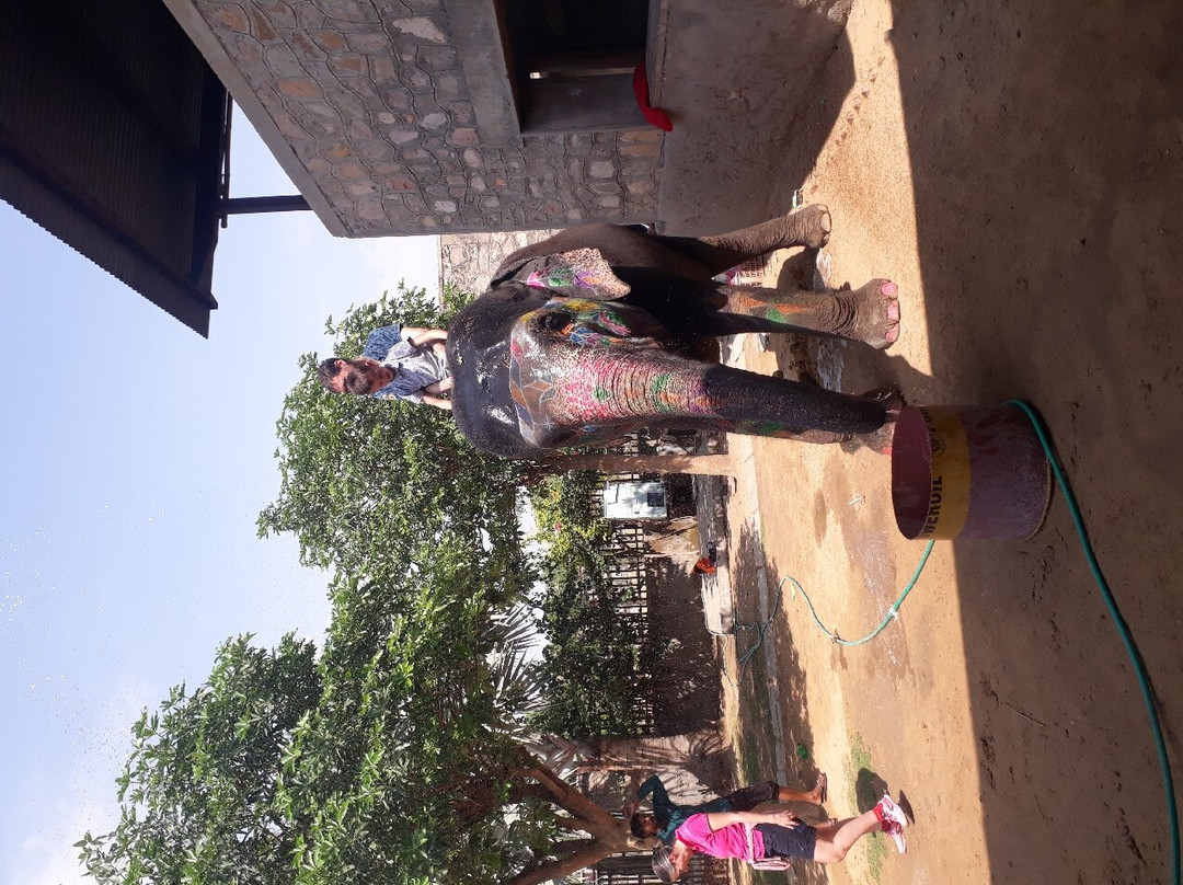 Elephant Fun Park-斋蒲尔必去景点