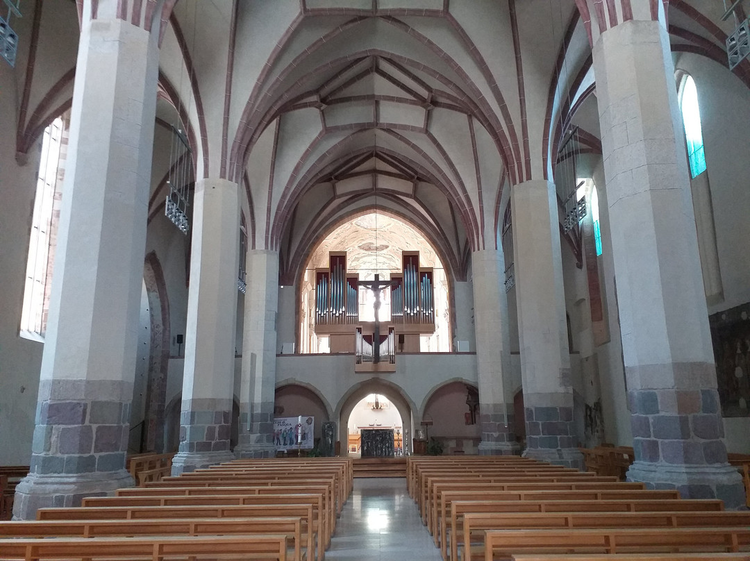 Chiesa dei Domenicani景点图片