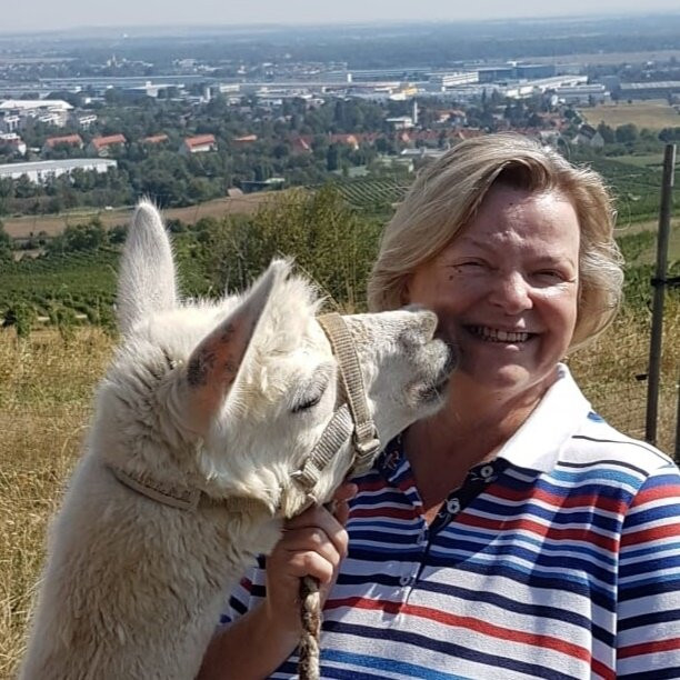 Die Alpaka und Lama Gefährten景点图片