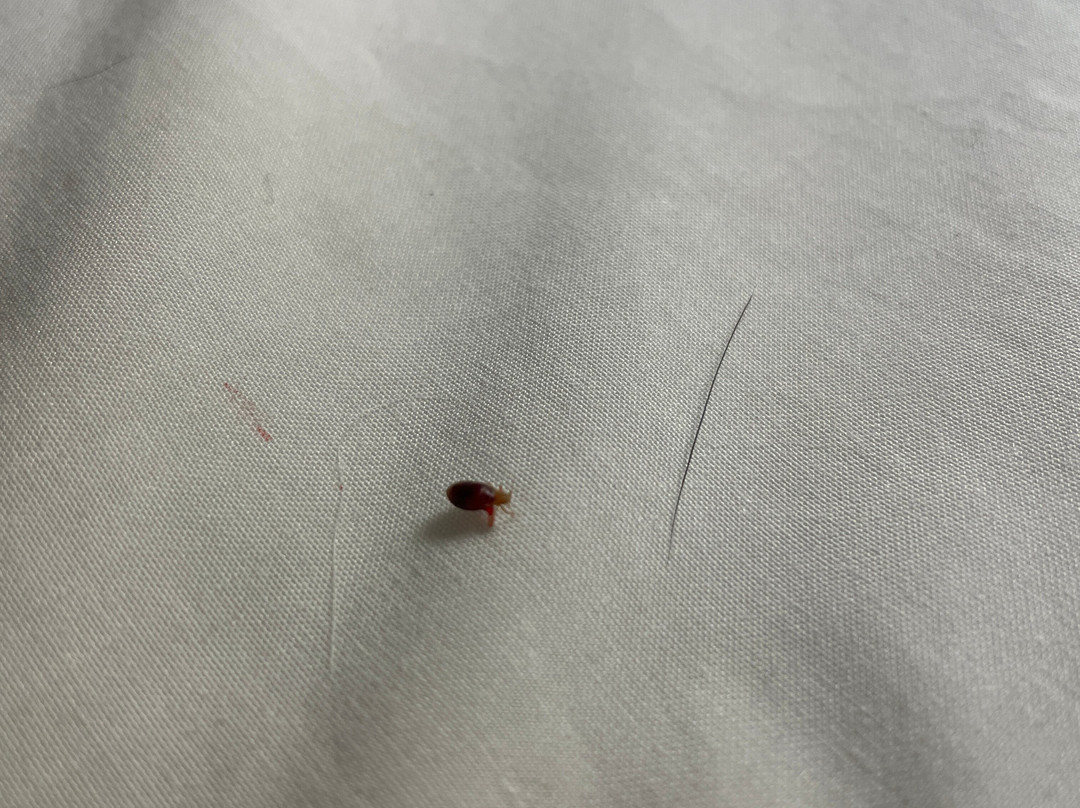 马洞汽车旅馆主图