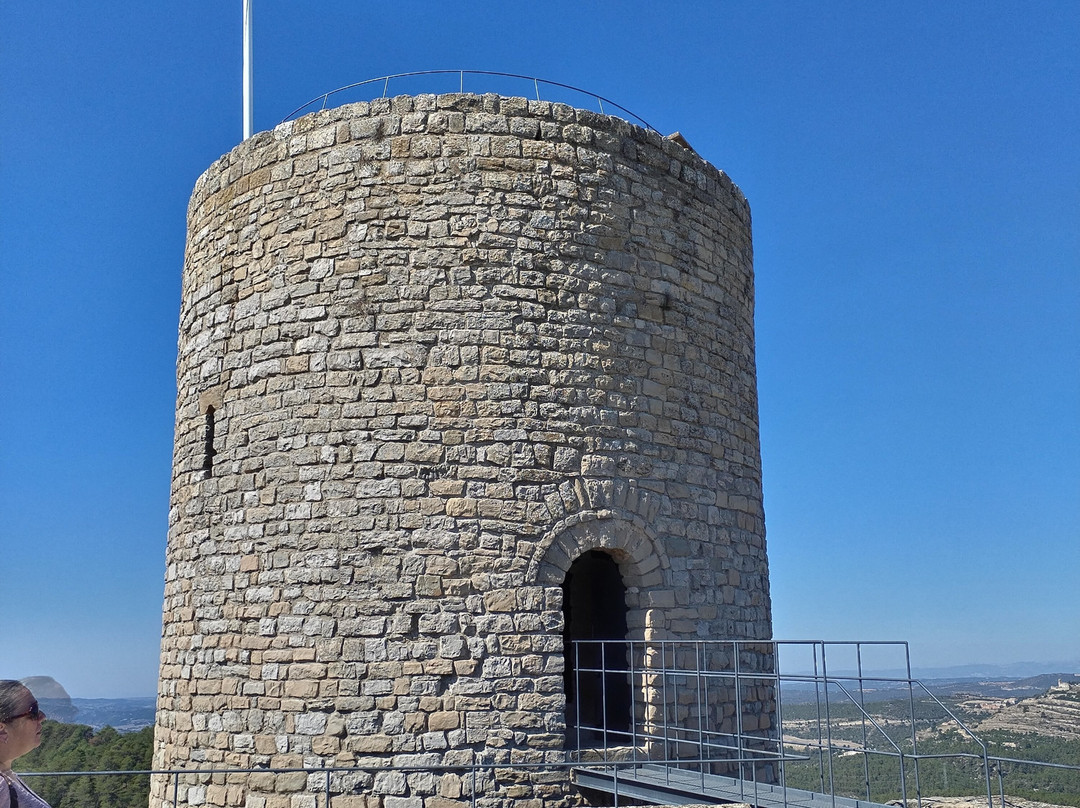 Castell de Boixadors景点图片
