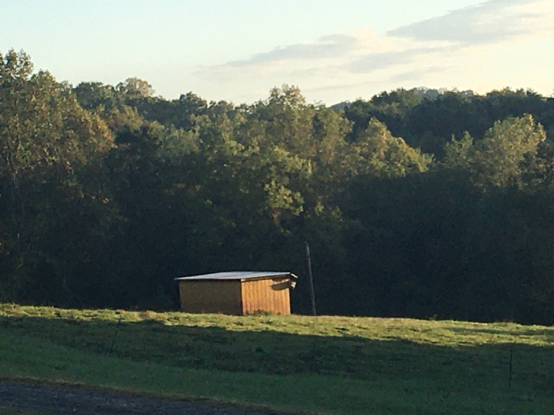A Mighty Oak Bed & Breakfast主图