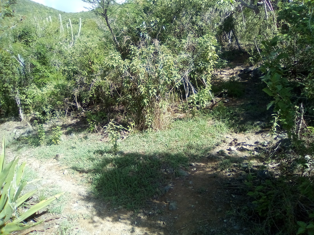 L’Esperance Trail-维尔京群岛国家公园必去景点