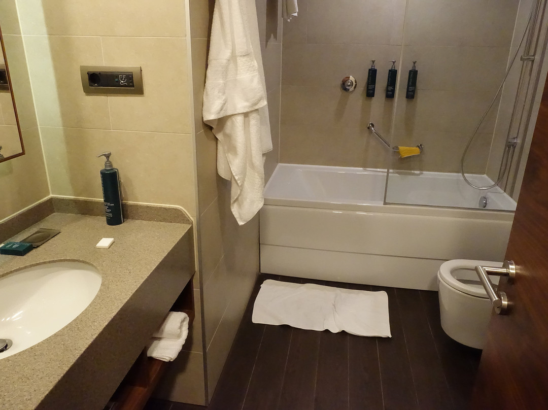 Hilton Garden Inn Eskisehir主图