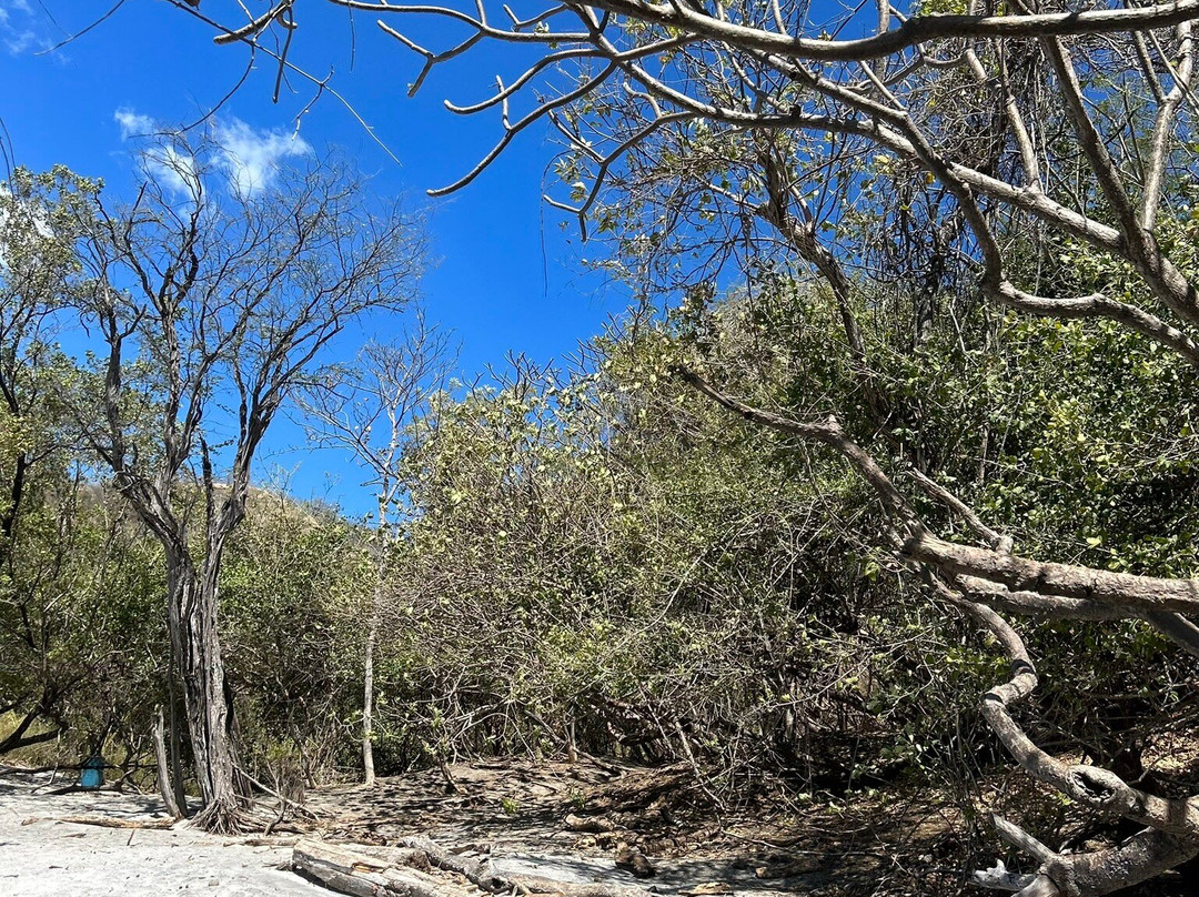 Glamping en Playa Potrero