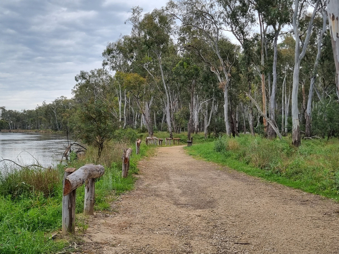 Quinn's Island-Cobram必去景点
