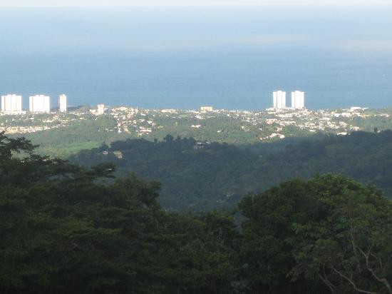 Borincano Tours景点图片