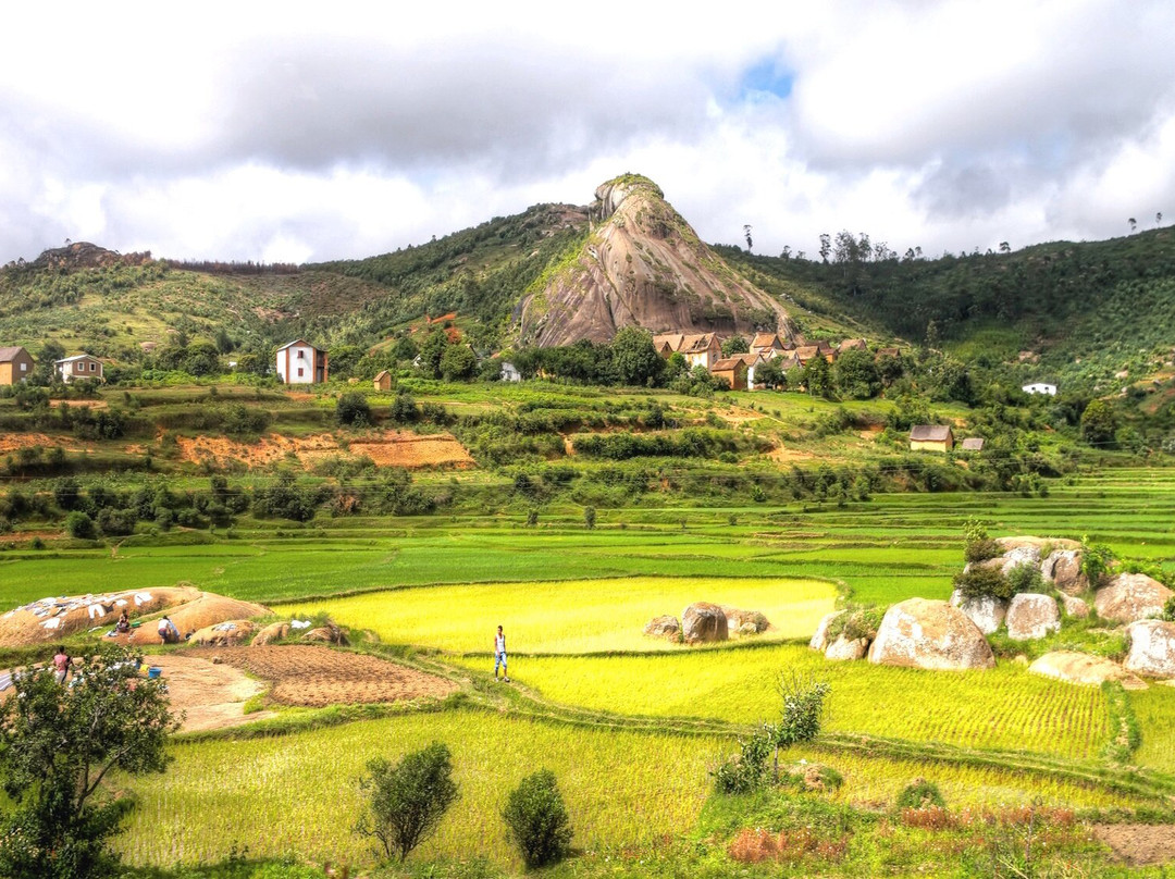 Les Rizières En Terrasses Du Parc National Ambalavao景点图片