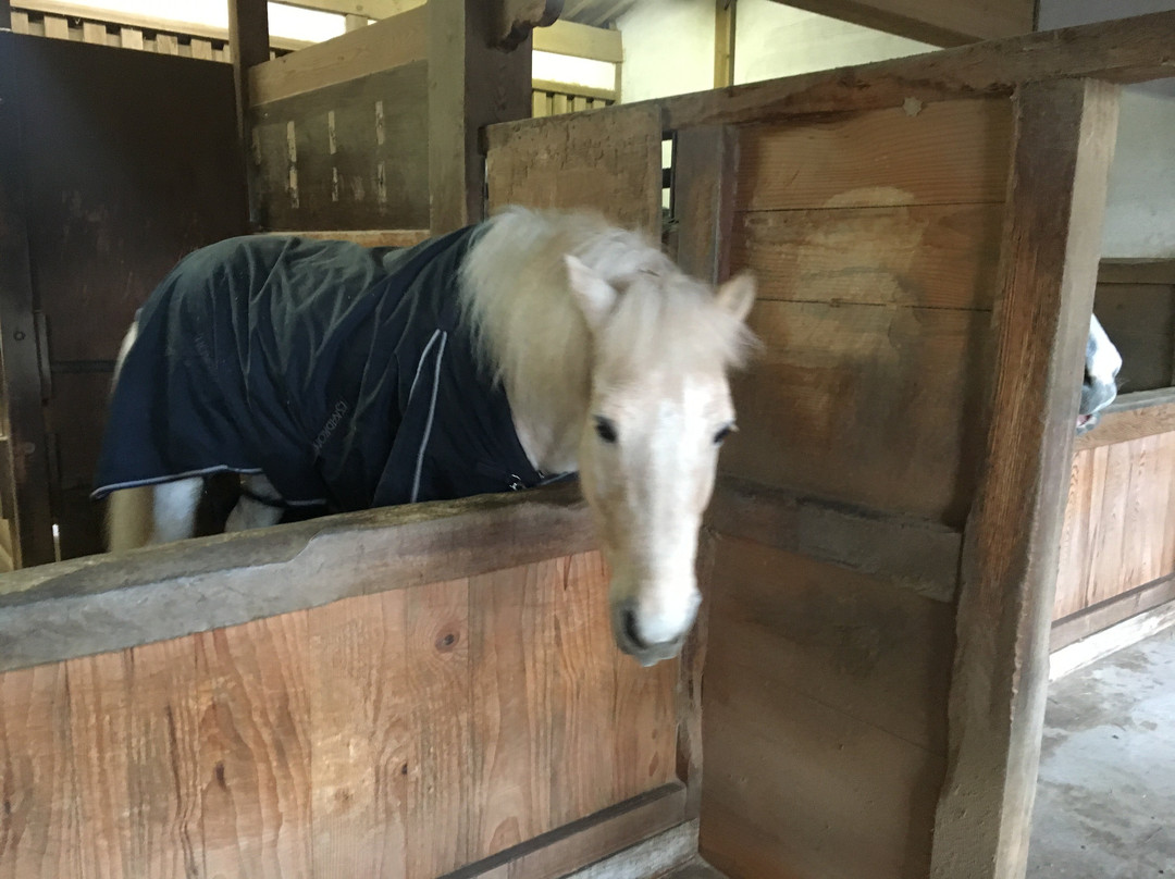 Kompira Shrine Omotesando-琴平町必去景点