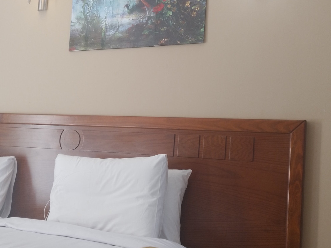 Blumar El Dome Hotel主图