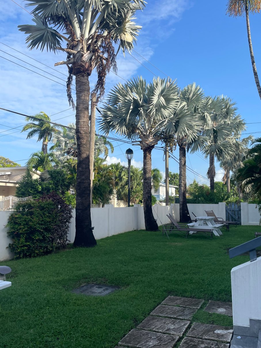 Dover Woods Apartments-官方