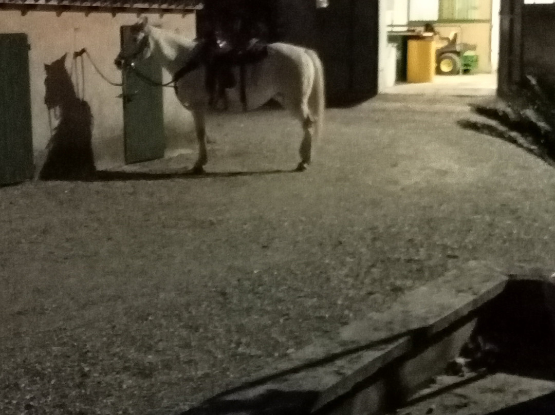 Agriturismo Nico Bresaola主图