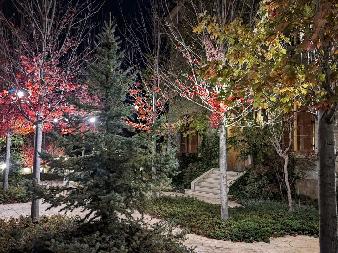 Le Telegraphe de Belle-Vue主图