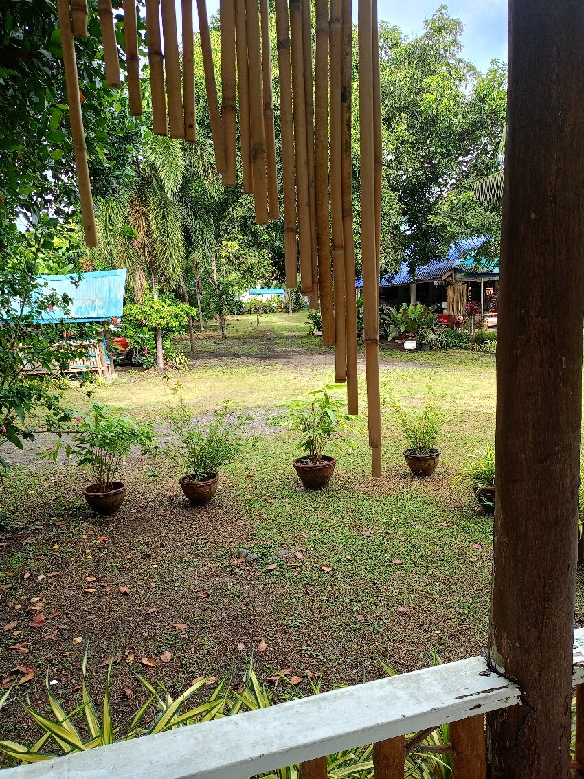 La Vida Hostel-官方