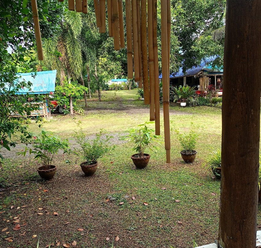 La Vida Hostel主图