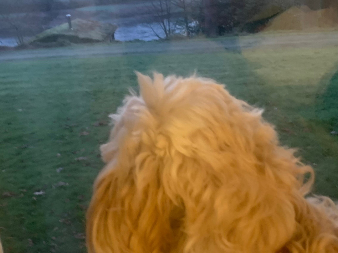 Ballathie Country House Hotel And Estate主图