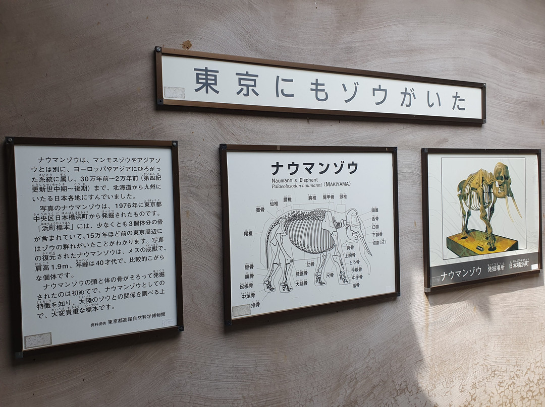 Tama Zoological Park-日野市必去景点