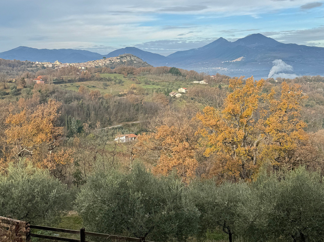 Agriturismo Fiore主图