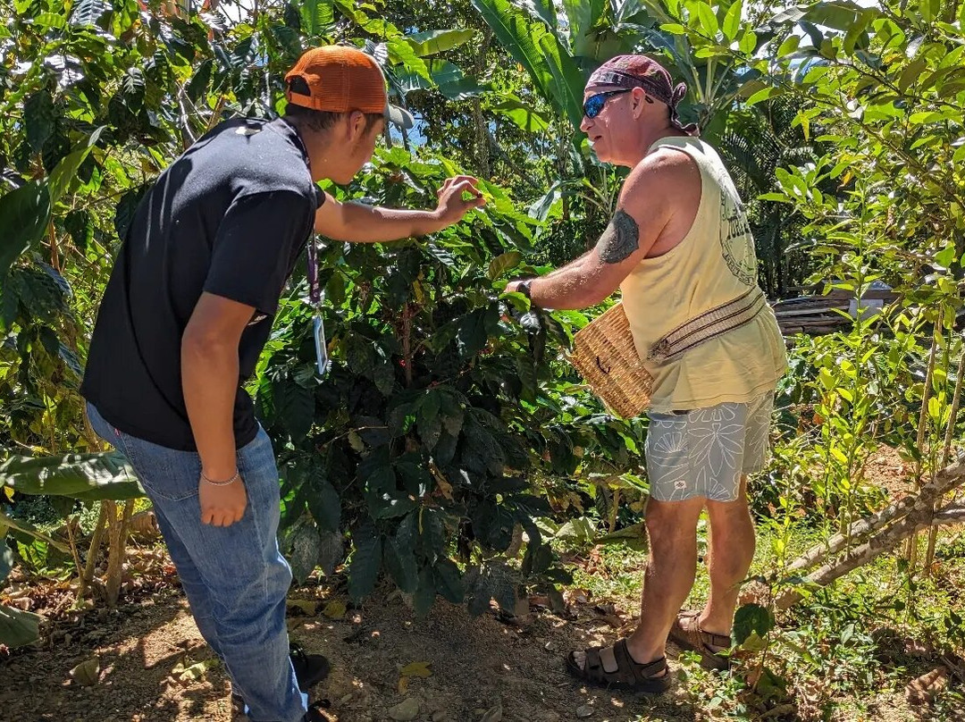 Café Supremo-Pluma Hidalgo必去景点