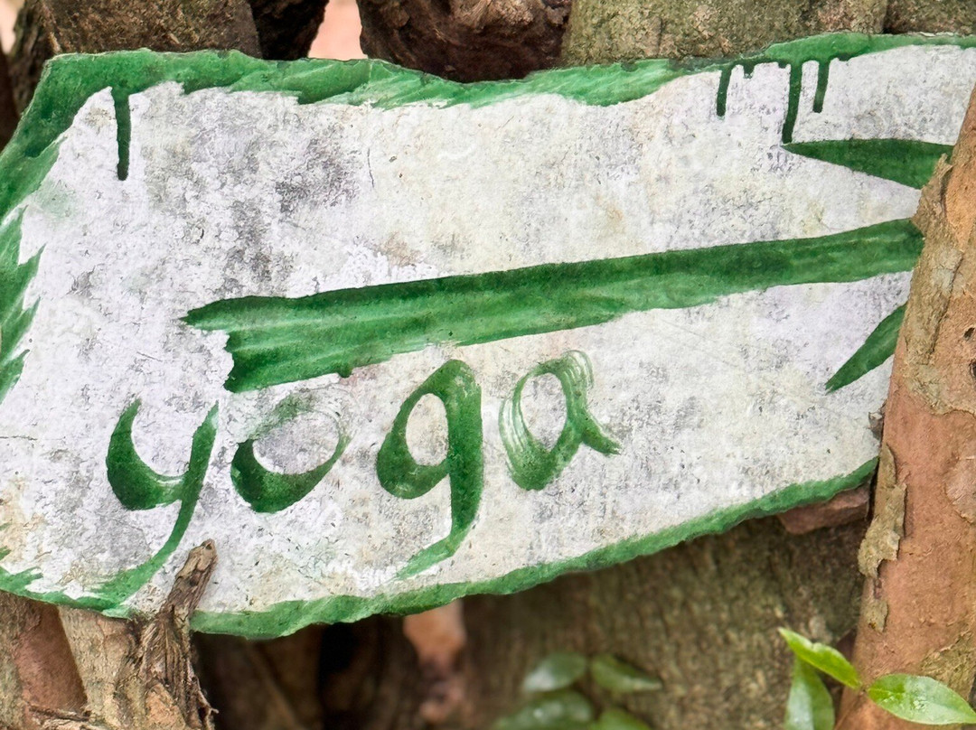 1World Yoga-埃勒必去景点