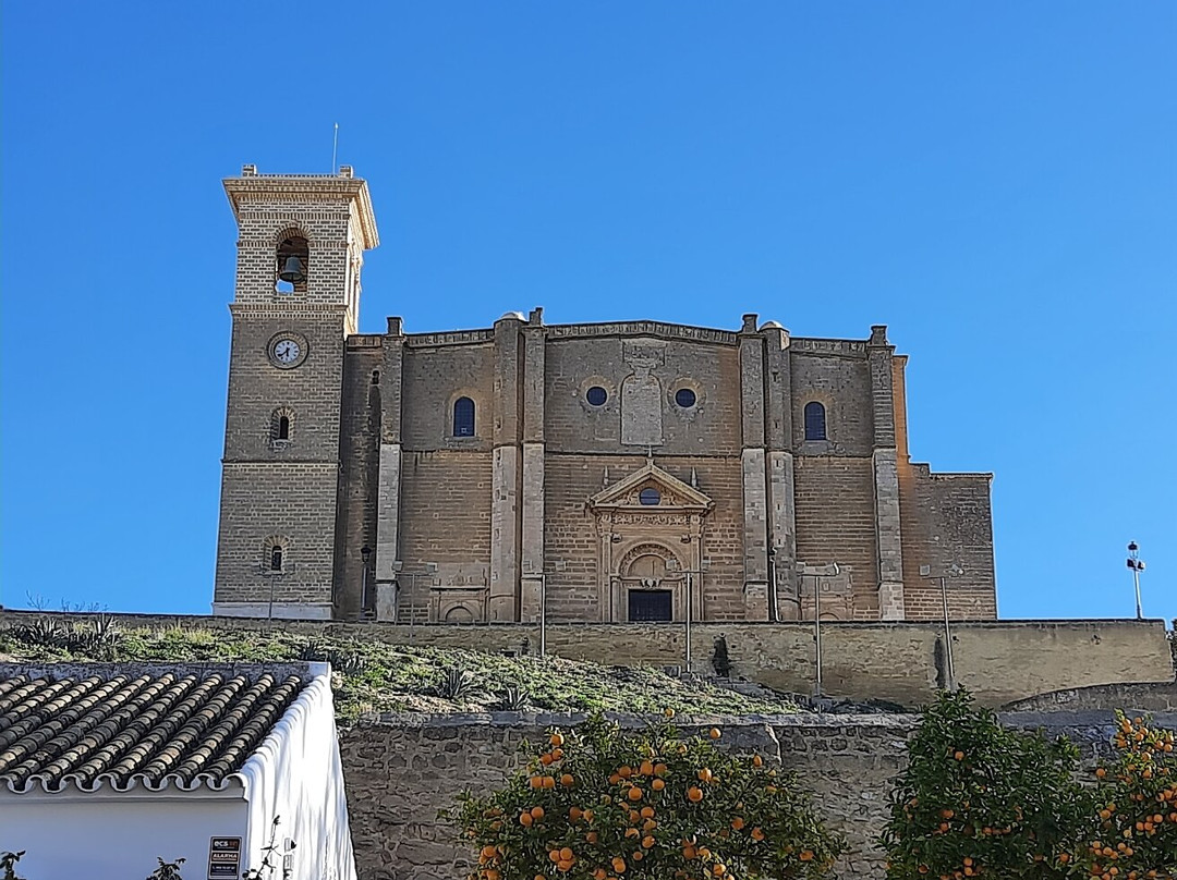 Collegiate Church of Our Lady of the Assumption景点图片