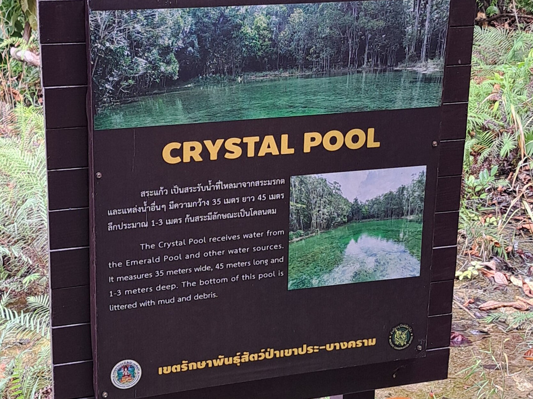 Crystal Pool景点图片