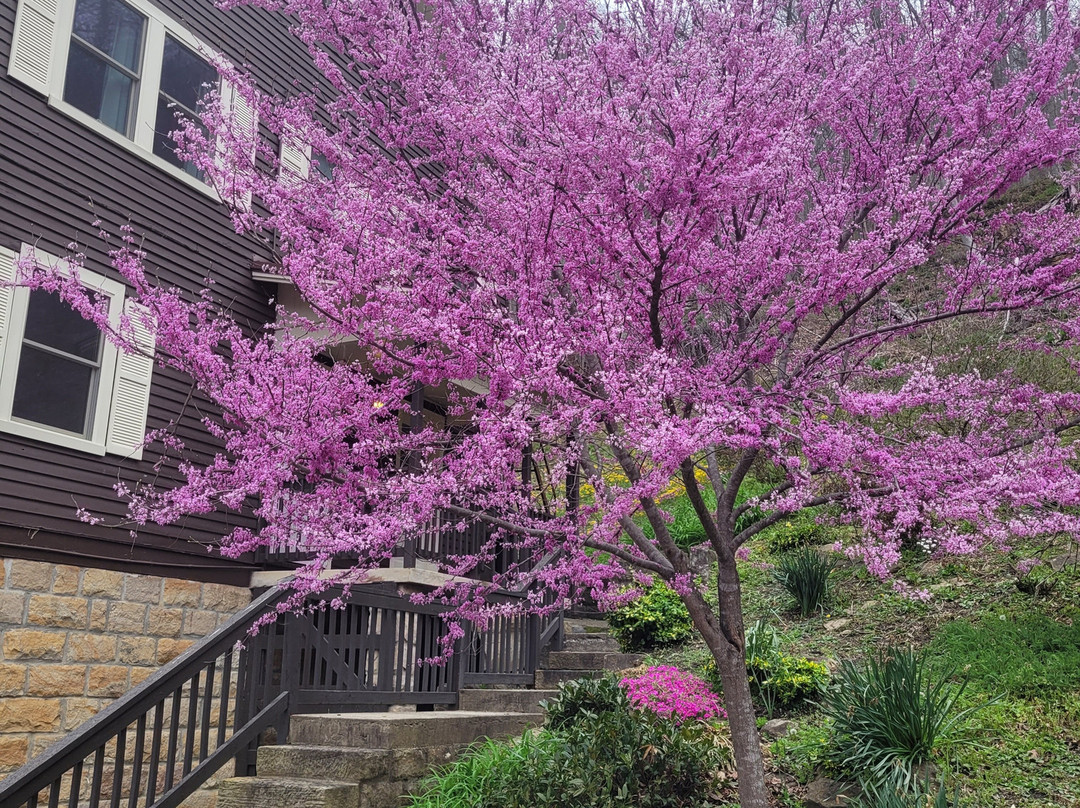 May Breckinridge's Wendover主图