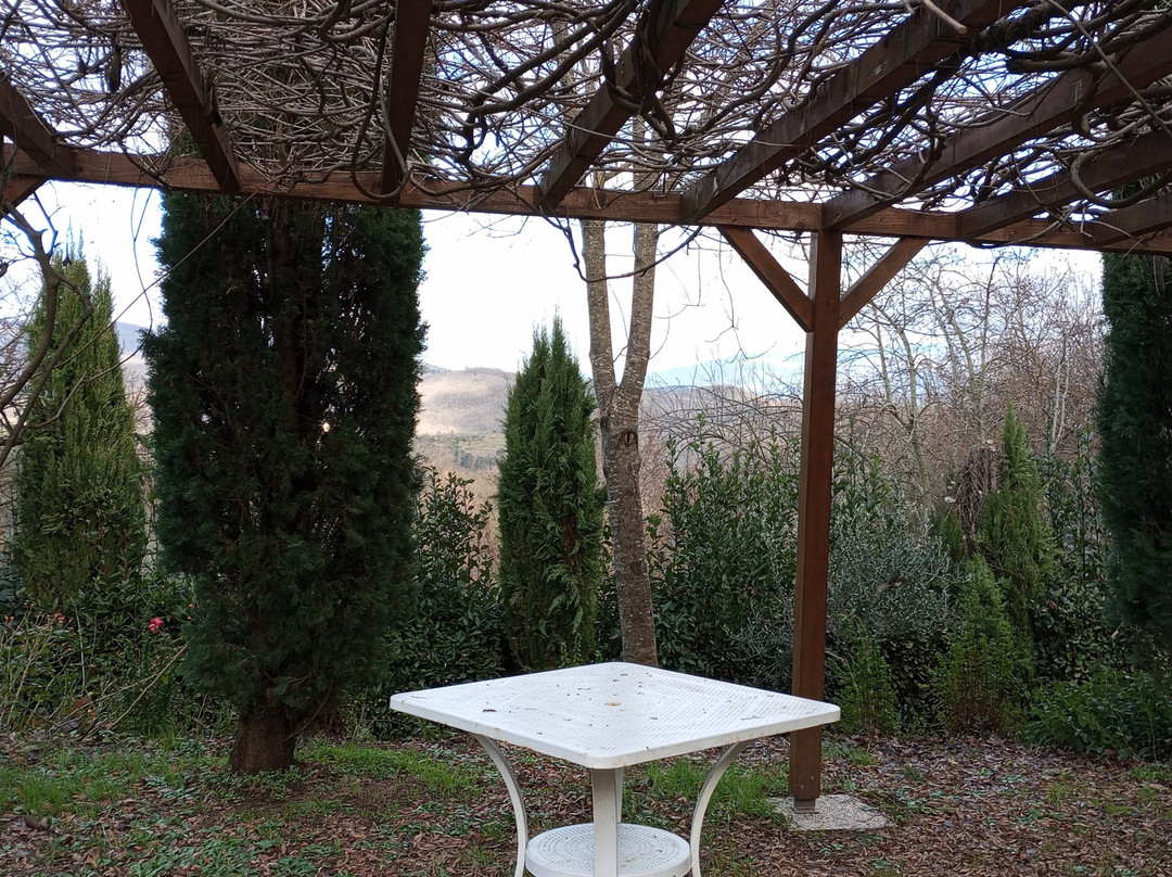 Lionforti da Vico主图