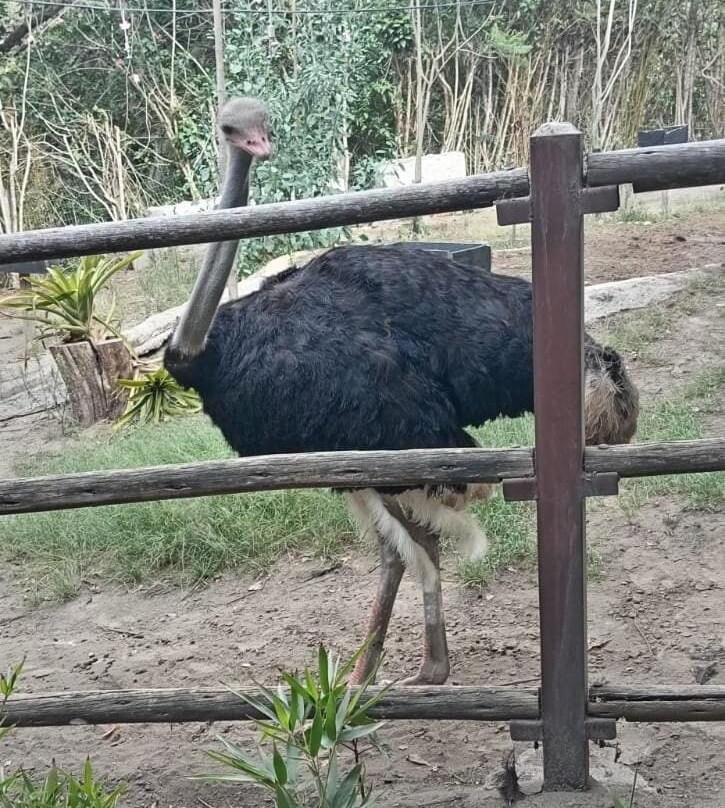 Zoologico de Quito景点图片