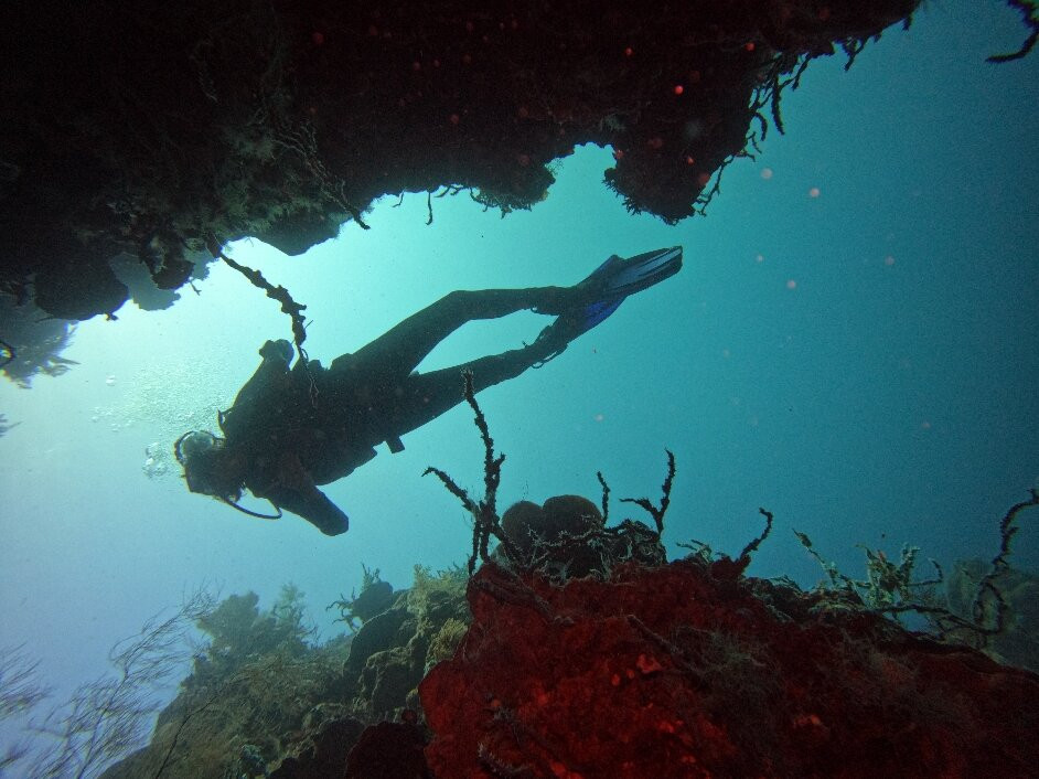 Blue Corner Dive Menjangan景点图片