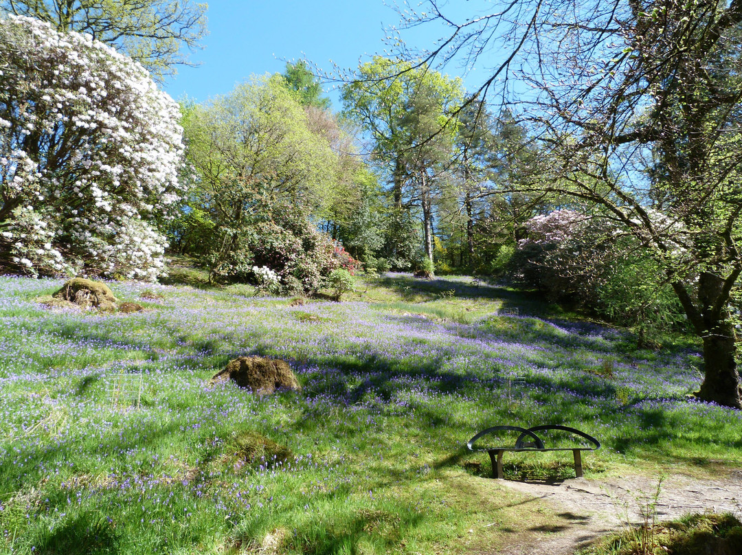 Ardkinglas Woodland Garden景点图片