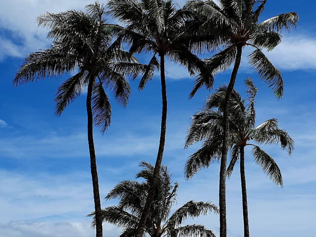 Haena Beach Park-哈耶纳必去景点